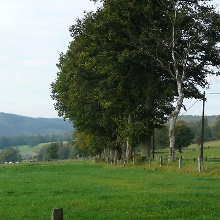 Le Fournil Gite Rural Trois-Ponts Eksteriør billede