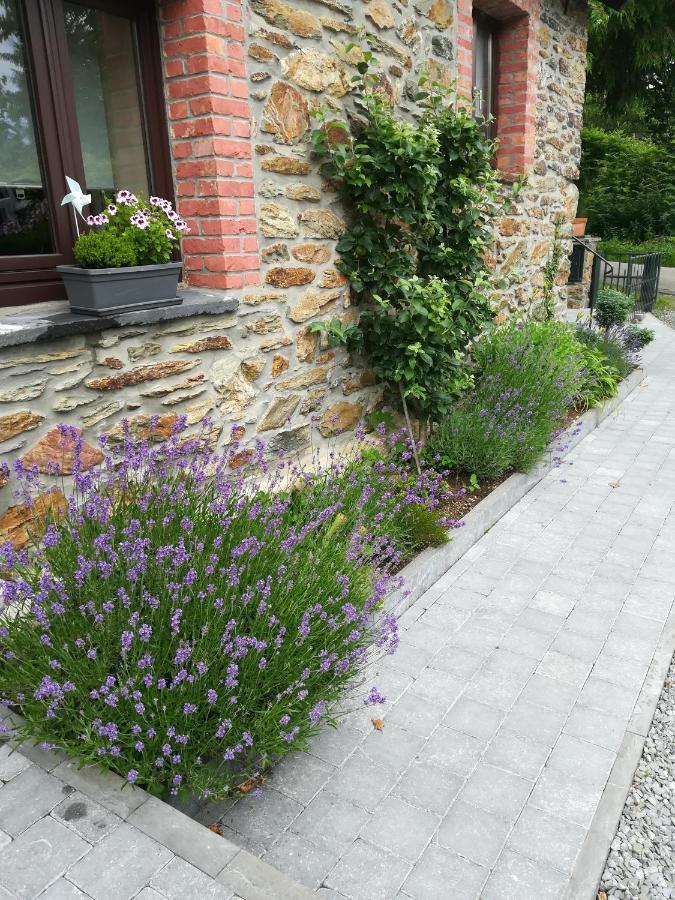 Le Fournil Gite Rural Trois-Ponts Eksteriør billede